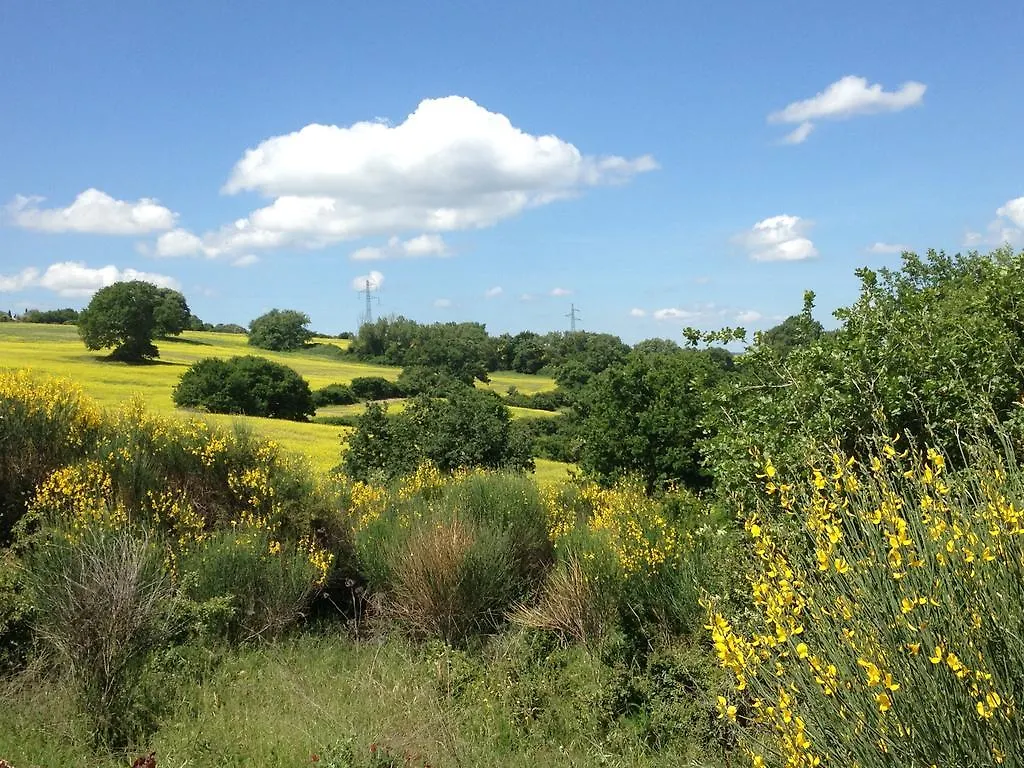 La Moiana Guest House San Quirico d'Orcia Country house